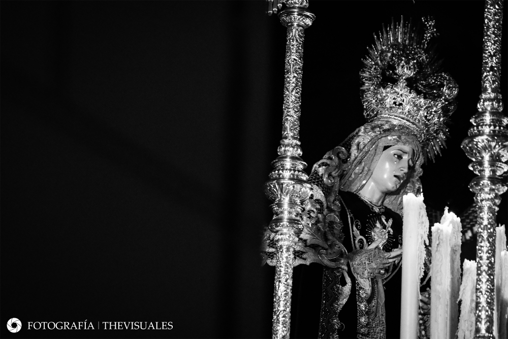 Y en tu Soledad te vi aparecer madre.