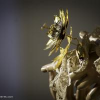 Imagen Fotografía