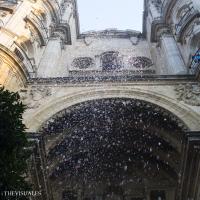 Imagen Fotografía