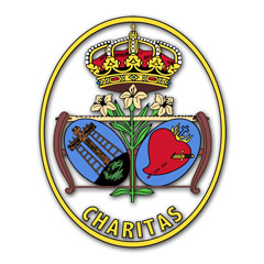 Escudo El Baratillo